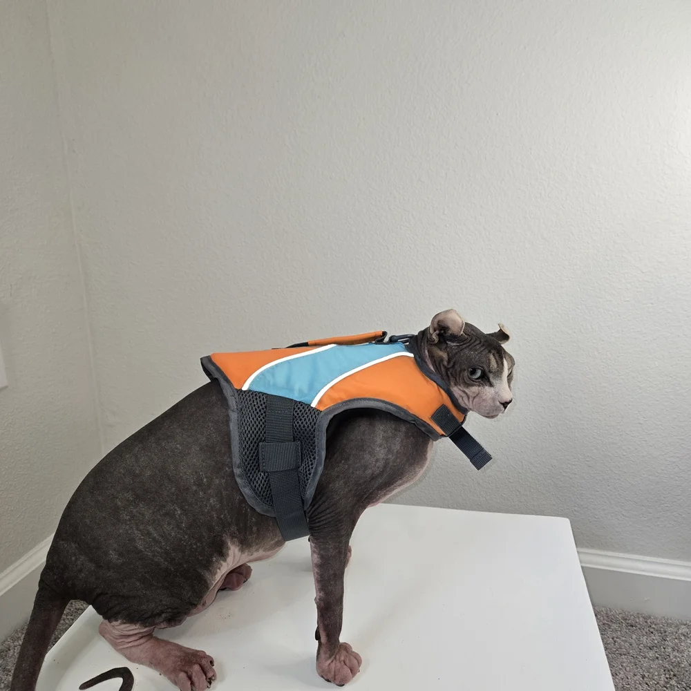 Orange and Blue Cat Life Jacket